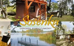 Sosenka Zaniemyśl